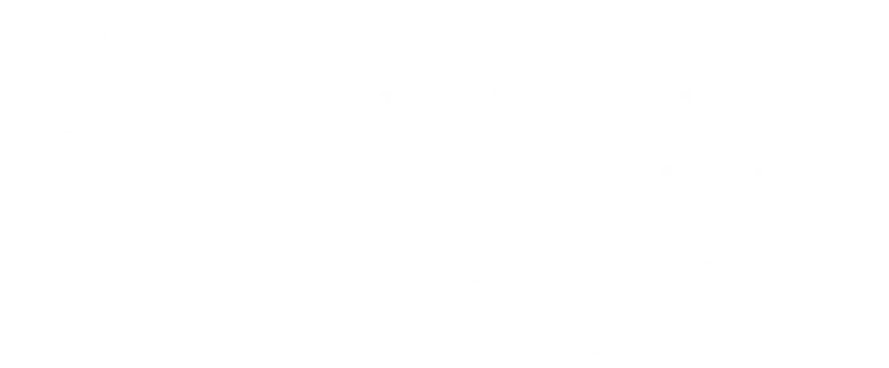 willa elka logo biale
